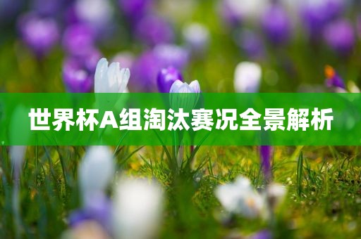 調(diào)卷審查最新信息是什么，調(diào)卷審查最新信息解析