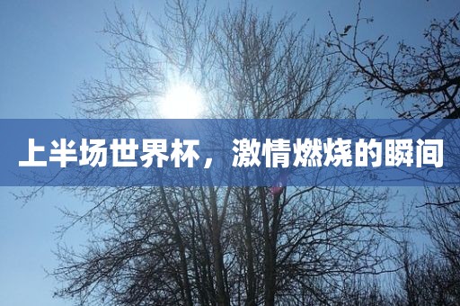 7777788888888精準跟7777888888新疆-杜絕虛假誘導詞,關鍵解答、專家解讀解釋與落實?