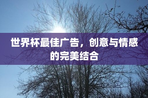 西藏藏龍路最新消息，西藏藏龍路最新動(dòng)態(tài)更新